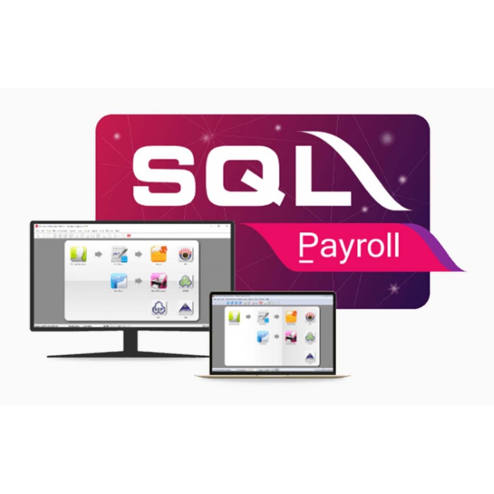 SQL PAYROLL SOFTWARE (Single Company) - Business Intelligence Solution